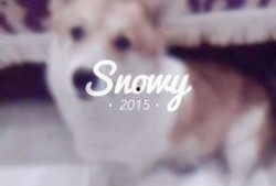 吃瓜少女喵娱乐